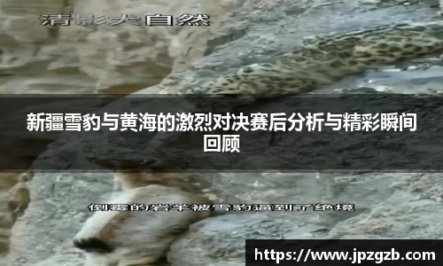 jbo竞博.体育官方网站